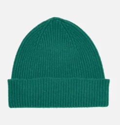 Bonnet Barra Chive