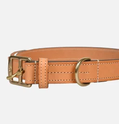 Ceinture 3404 Tan