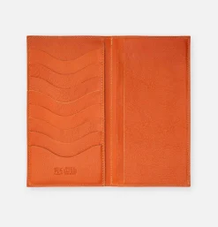 Credit Cards Holder