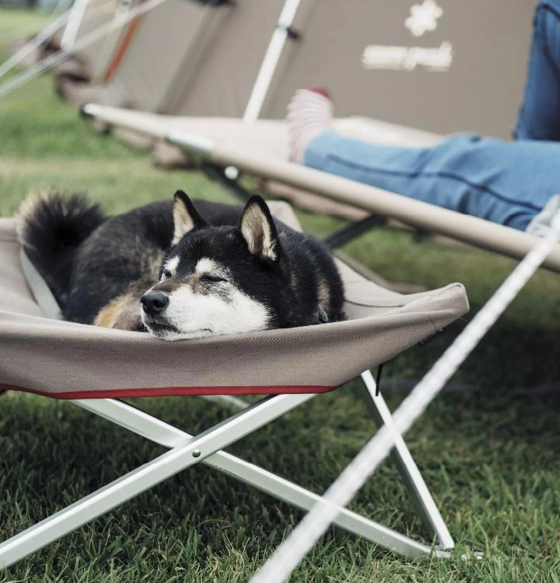 Dog Cot Grey