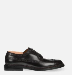 975 - Long Wing Cordovan