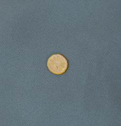 Mini Patches Fruits