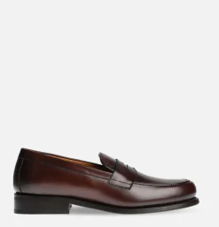 Moccassin Dexter Brown