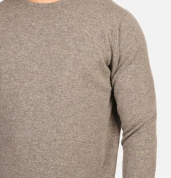 Pull Col Rond Vole