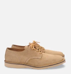 3302 - Weekender Oxford
